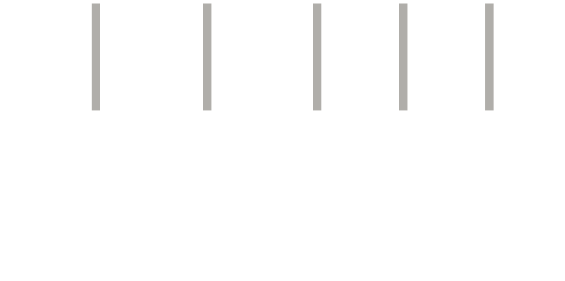 ANC Capital